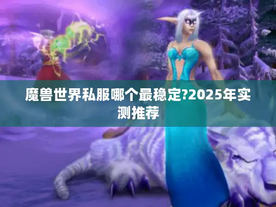 魔兽世界私服哪个最稳定?2025年实测推荐