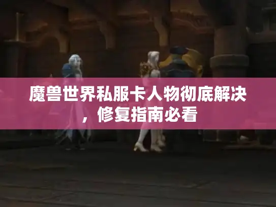 魔兽世界私服卡人物彻底解决，修复指南必看