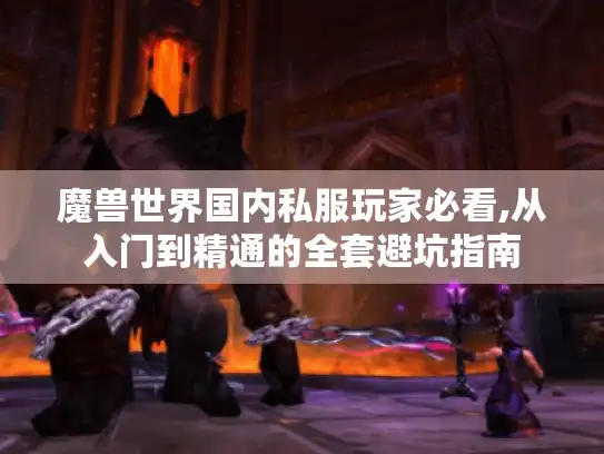 魔兽世界国内私服玩家必看,从入门到精通的全套避坑指南