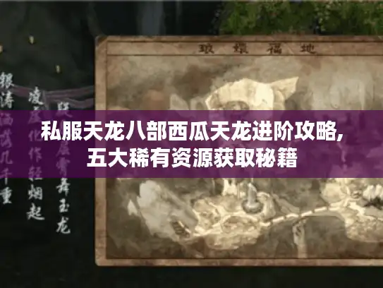 私服天龙八部西瓜天龙进阶攻略,五大稀有资源获取秘籍