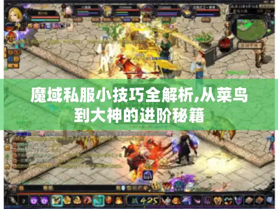 魔域私服小技巧全解析,从菜鸟到大神的进阶秘籍