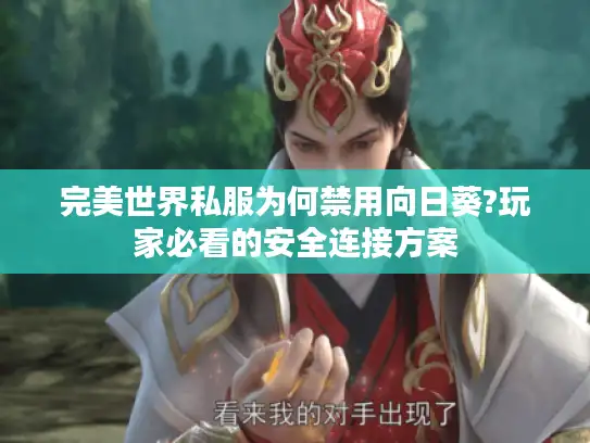 完美世界私服为何禁用向日葵?玩家必看的安全连接方案