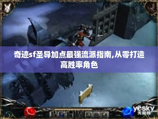 奇迹sf圣导加点最强流派指南,从零打造高胜率角色