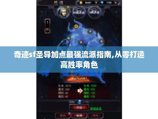 奇迹sf圣导加点最强流派指南,从零打造高胜率角色