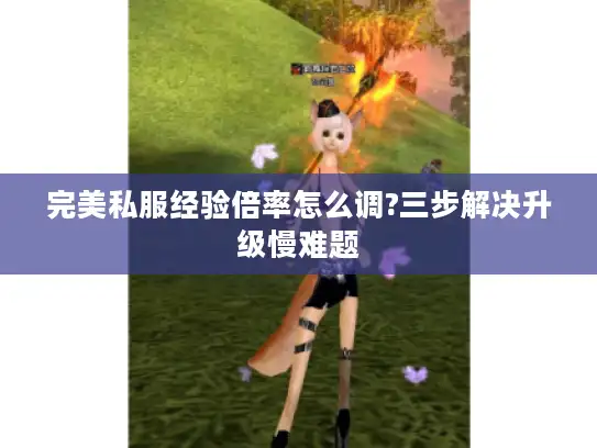 完美私服经验倍率怎么调?三步解决升级慢难题 完美私服经验倍率怎么调?三步解决升级慢难题