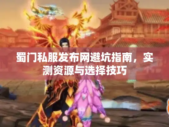 蜀门私服发布网避坑指南，实测资源与选择技巧