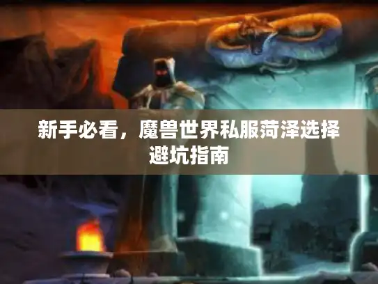 新手必看,魔兽世界私服菏泽选择避坑指南 新手必看,魔兽世界私服菏泽选择避坑指南