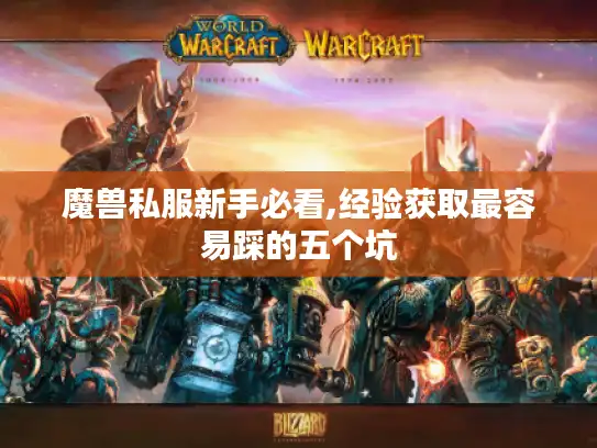 魔兽私服新手必看,经验获取最容易踩的五个坑