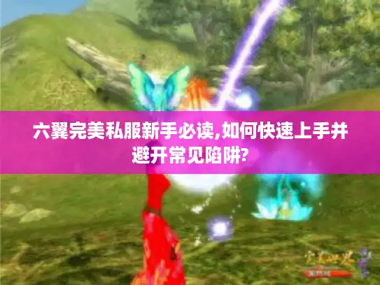 六翼完美私服新手必读,如何快速上手并避开常见陷阱?
