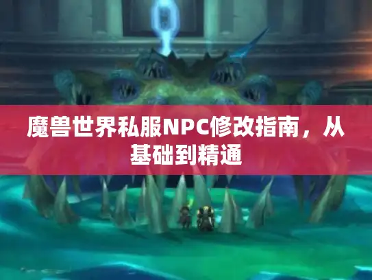 魔兽世界私服NPC修改指南，从基础到精通
