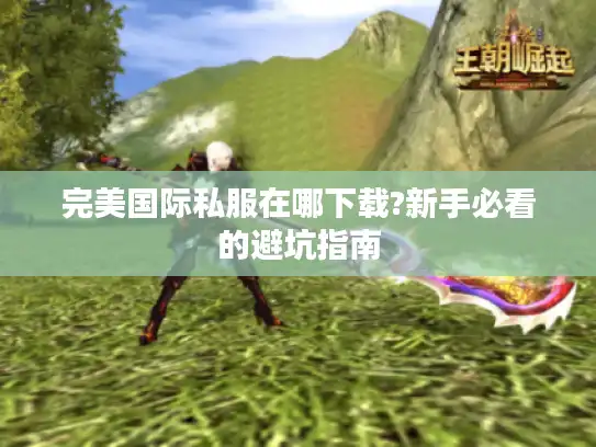 完美国际私服在哪下载?新手必看的避坑指南