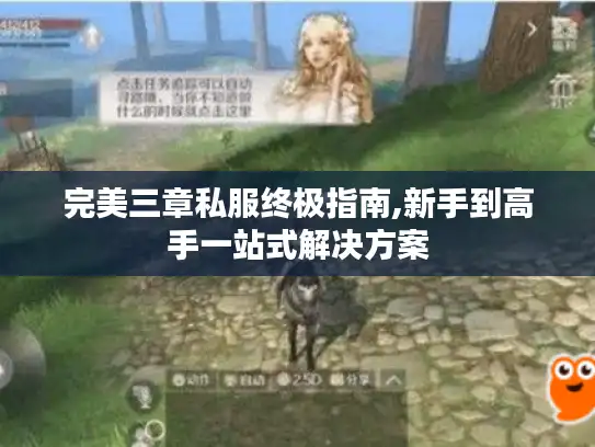 完美三章私服终极指南,新手到高手一站式解决方案 完美三章私服终极指南,新手到高手一站式解决方案