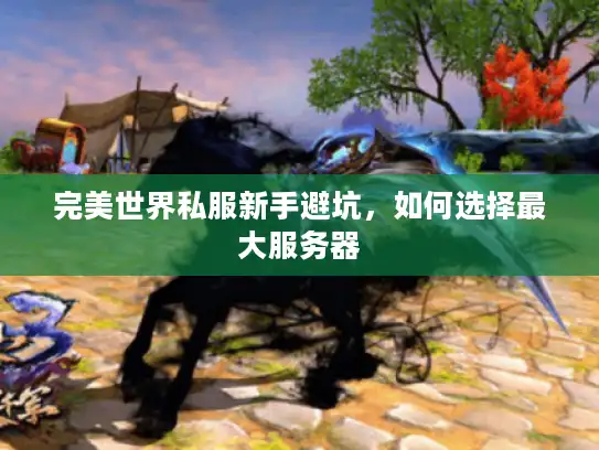 完美世界私服新手避坑，如何选择最大服务器