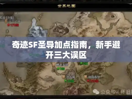 奇迹SF圣导加点指南,新手避开三大误区 奇迹SF圣导加点指南,新手避开三大误区