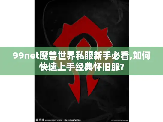 99net魔兽世界私服新手必看,如何快速上手经典怀旧服?