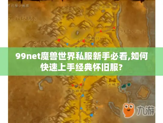 99net魔兽世界私服新手必看,如何快速上手经典怀旧服?