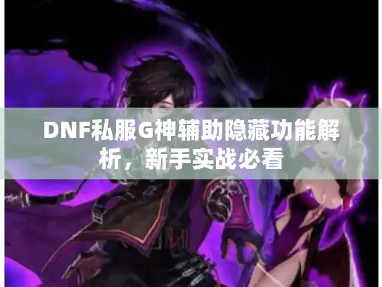DNF私服G神辅助隐藏功能解析，新手实战必看