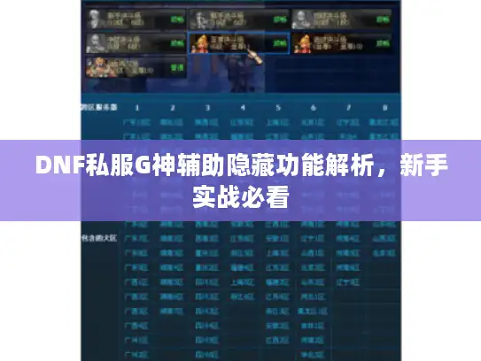 DNF私服G神辅助隐藏功能解析，新手实战必看