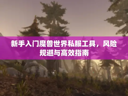 新手入门魔兽世界私服工具，风险规避与高效指南