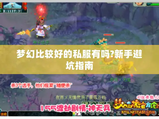 梦幻比较好的私服有吗?新手避坑指南
