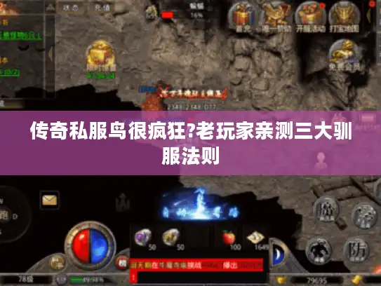 传奇私服鸟很疯狂?老玩家亲测三大驯服法则