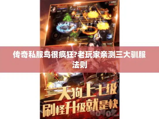 传奇私服鸟很疯狂?老玩家亲测三大驯服法则