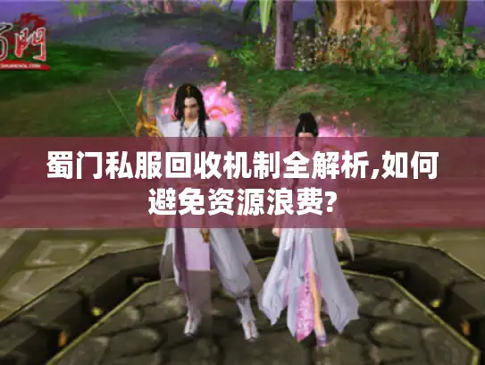 蜀门私服回收机制全解析,如何避免资源浪费?