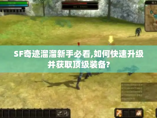 SF奇迹溜溜新手必看,如何快速升级并获取顶级装备?