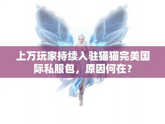 上万玩家持续入驻猫猫完美国际私服包,原因何在? 上万玩家持续入驻猫猫完美国际私服包,原因何在?
