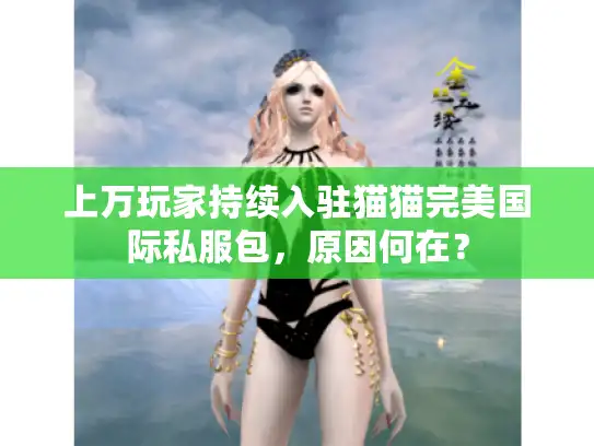上万玩家持续入驻猫猫完美国际私服包,原因何在? 上万玩家持续入驻猫猫完美国际私服包,原因何在?