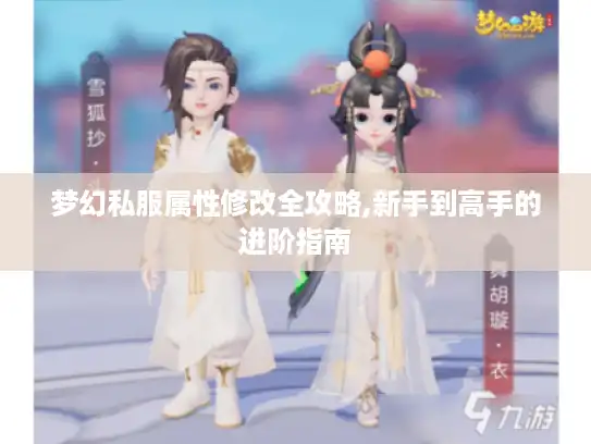 梦幻私服属性修改全攻略,新手到高手的进阶指南 梦幻私服属性修改全攻略,新手到高手的进阶指南