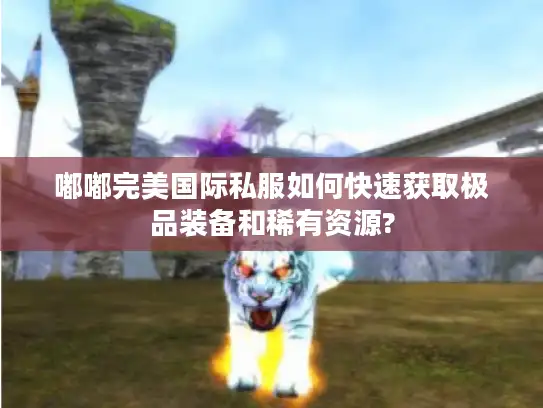 嘟嘟完美国际私服如何快速获取极品装备和稀有资源?