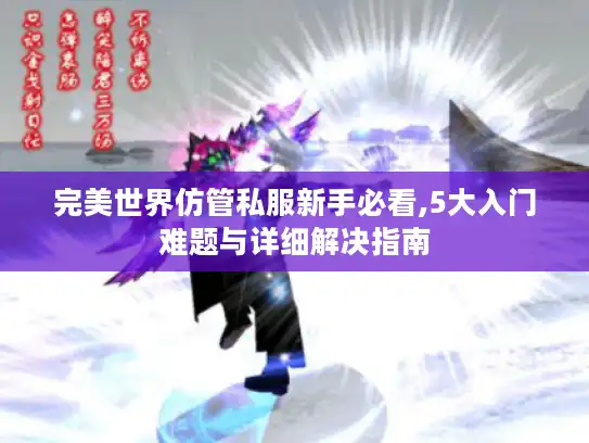 完美世界仿管私服新手必看,5大入门难题与详细解决指南