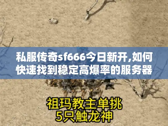 私服传奇sf666今日新开,如何快速找到稳定高爆率的服务器? 私服传奇sf666今日新开,如何快速找到稳定高爆率的服务器?