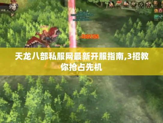 天龙八部私服网最新开服指南,3招教你抢占先机