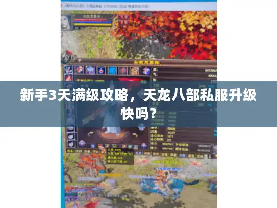 新手3天满级攻略，天龙八部私服升级快吗？