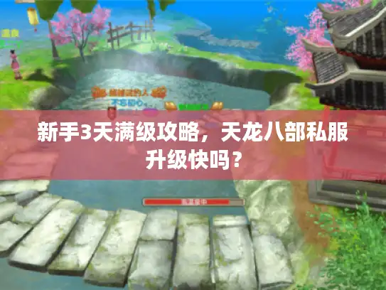 新手3天满级攻略，天龙八部私服升级快吗？