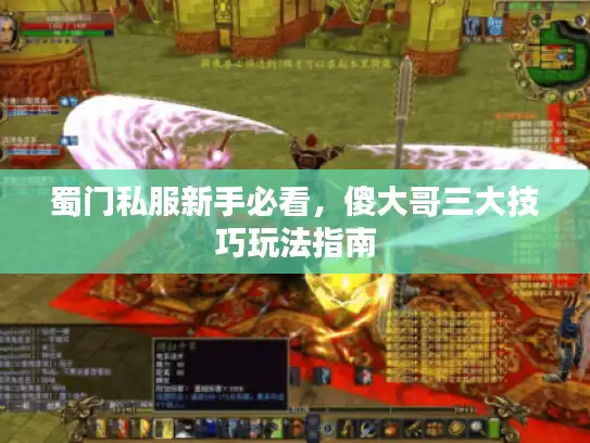 蜀门私服新手必看,傻大哥三大技巧玩法指南 蜀门私服新手必看,傻大哥三大技巧玩法指南