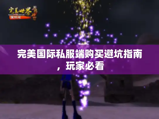 完美国际私服端购买避坑指南，玩家必看