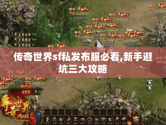 传奇世界sf私发布服必看,新手避坑三大攻略