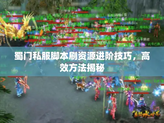 蜀门私服脚本刷资源进阶技巧，高效方法揭秘