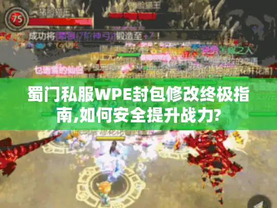 蜀门私服WPE封包修改终极指南,如何安全提升战力?