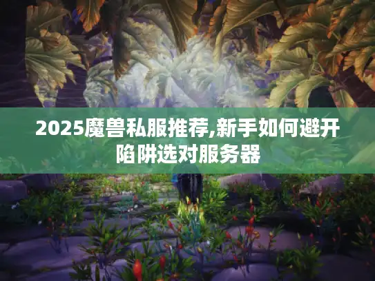 2025魔兽私服推荐,新手如何避开陷阱选对服务器