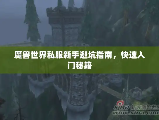 魔兽世界私服新手避坑指南，快速入门秘籍