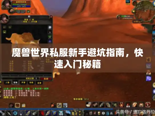 魔兽世界私服新手避坑指南，快速入门秘籍