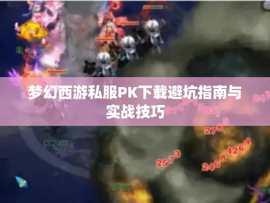 梦幻西游私服PK下载避坑指南与实战技巧