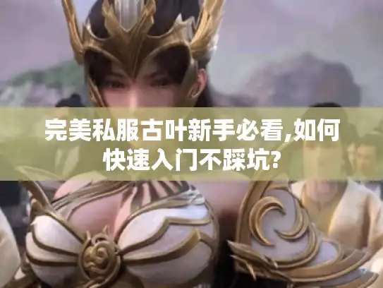 完美私服古叶新手必看,如何快速入门不踩坑?