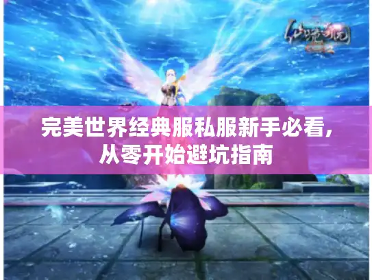 完美世界经典服私服新手必看,从零开始避坑指南 完美世界经典服私服新手必看,从零开始避坑指南