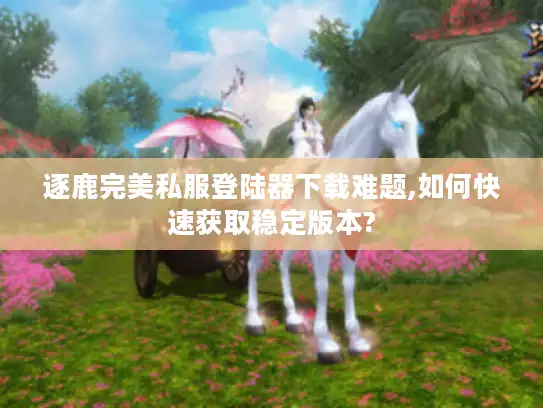 逐鹿完美私服登陆器下载难题,如何快速获取稳定版本?