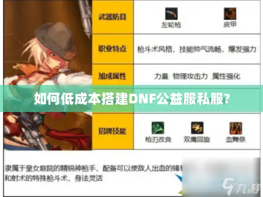 如何低成本搭建DNF公益服私服?